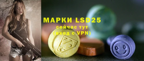 шишки Кукмор