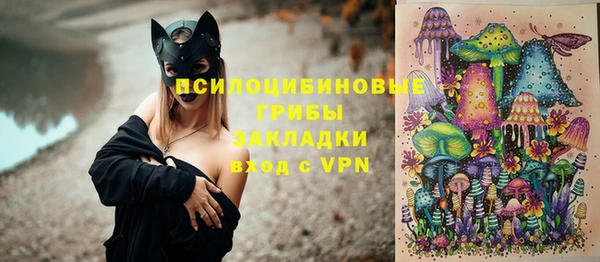шишки Кукмор