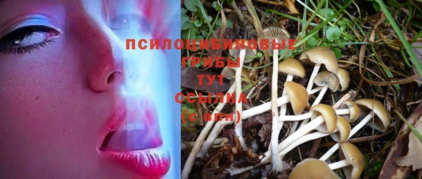 шишки Кукмор