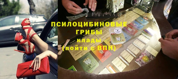 шишки Кукмор