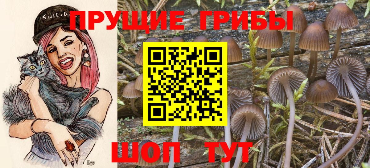 Псилоцибиновые грибы мицелий  Галлюциногенные грибы прущие грибы  Вход с VPN  Кыштым 